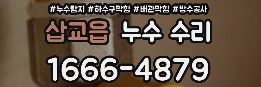 삽교읍 누수 수리