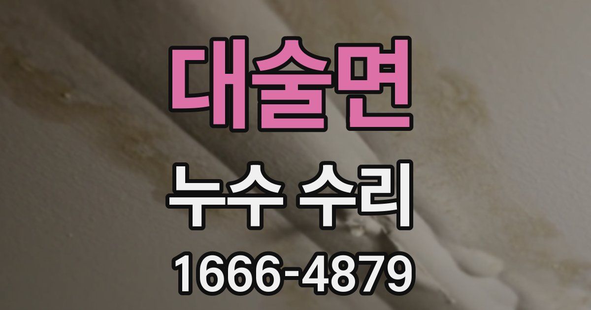 대술면 누수 수리