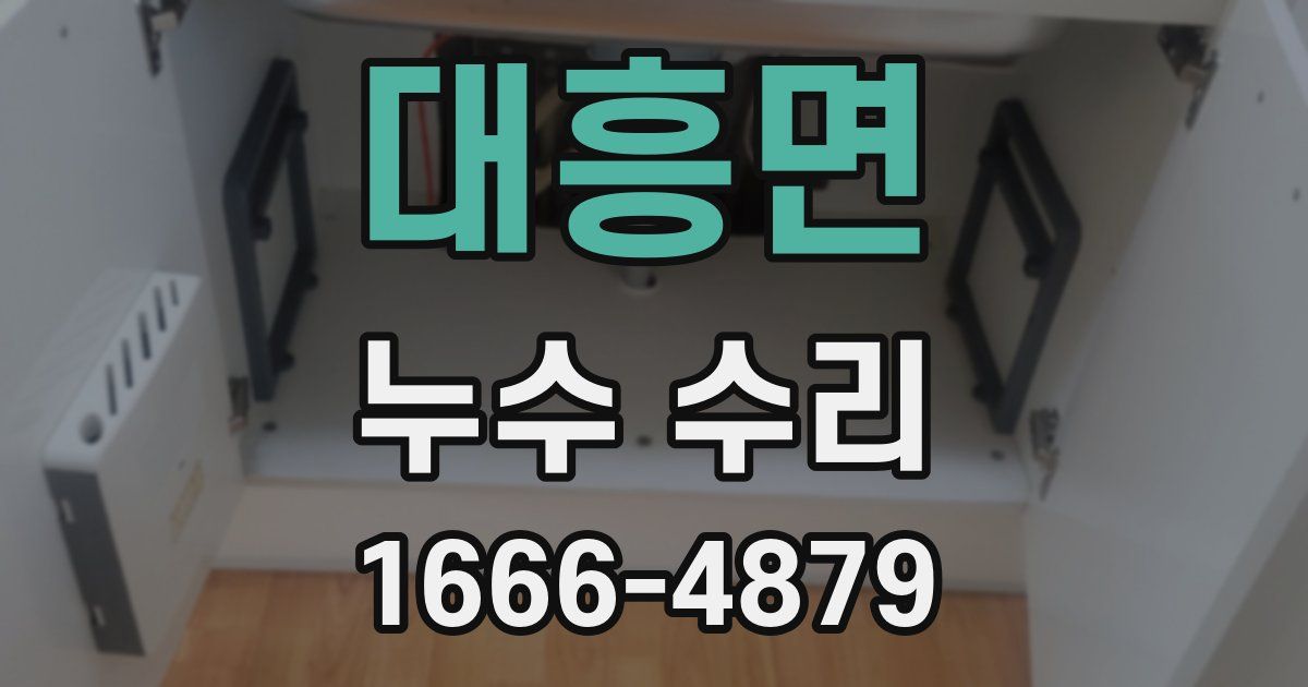 대흥면 누수 수리
