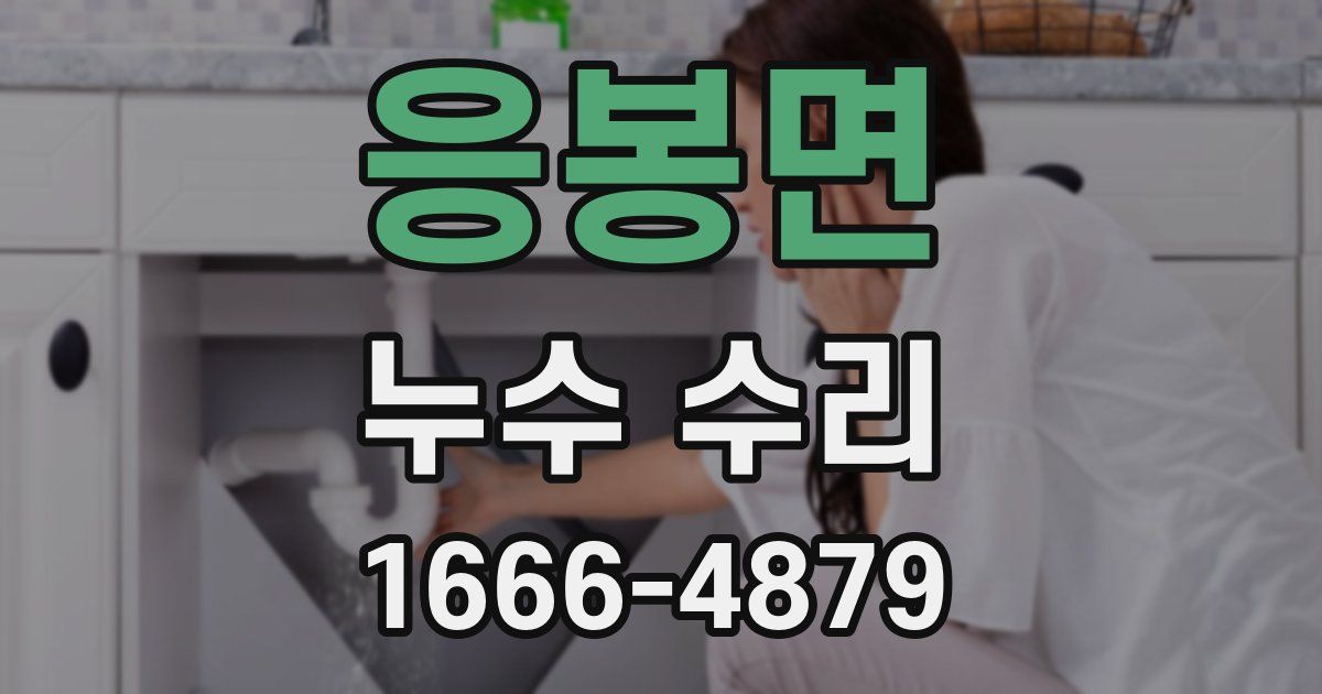 응봉면 누수 수리
