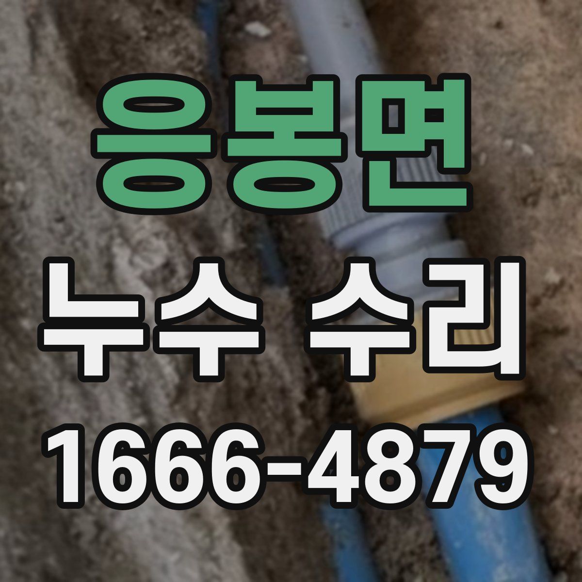 응봉면 누수 수리