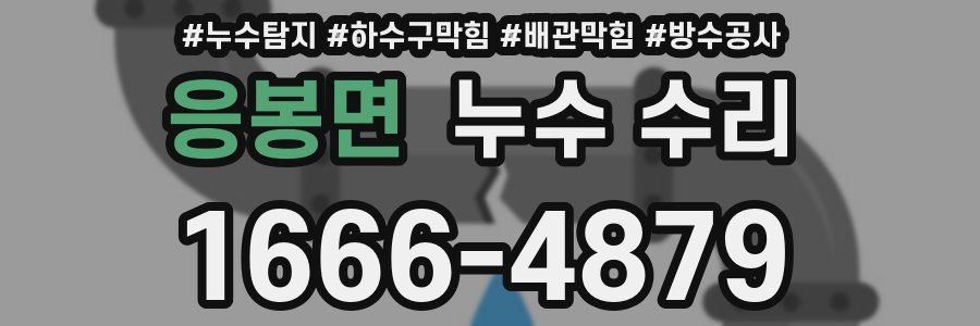 응봉면 누수 수리