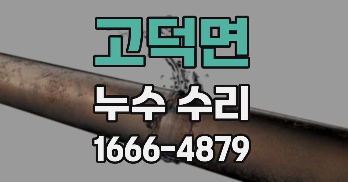 고덕면 누수 수리