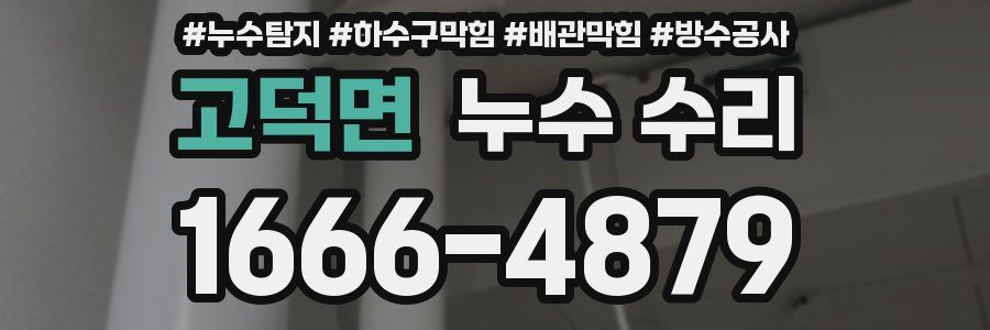 고덕면 누수 수리