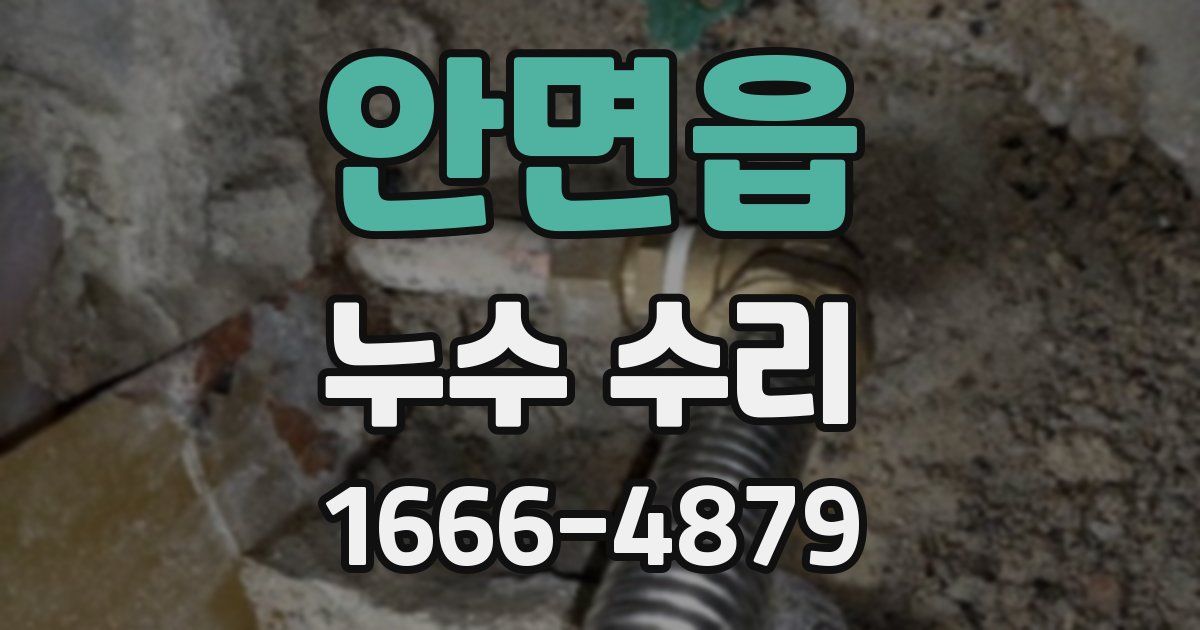 안면읍 누수 수리