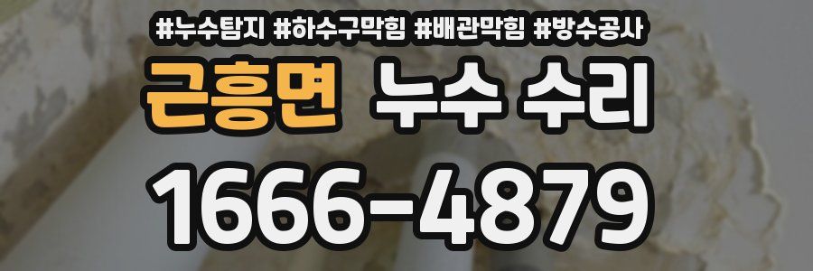 근흥면 누수 수리