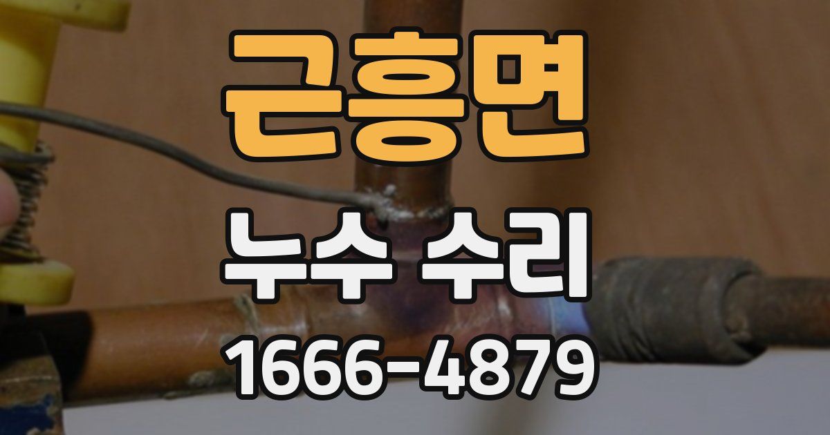 근흥면 누수 수리