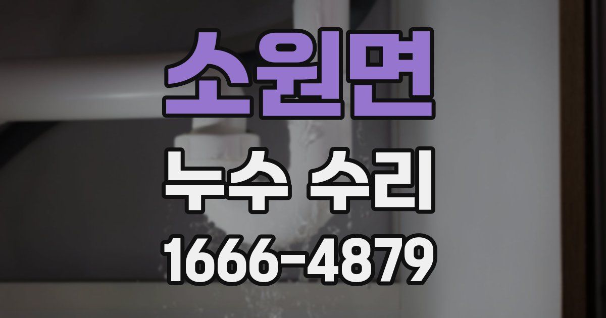 소원면 누수 수리
