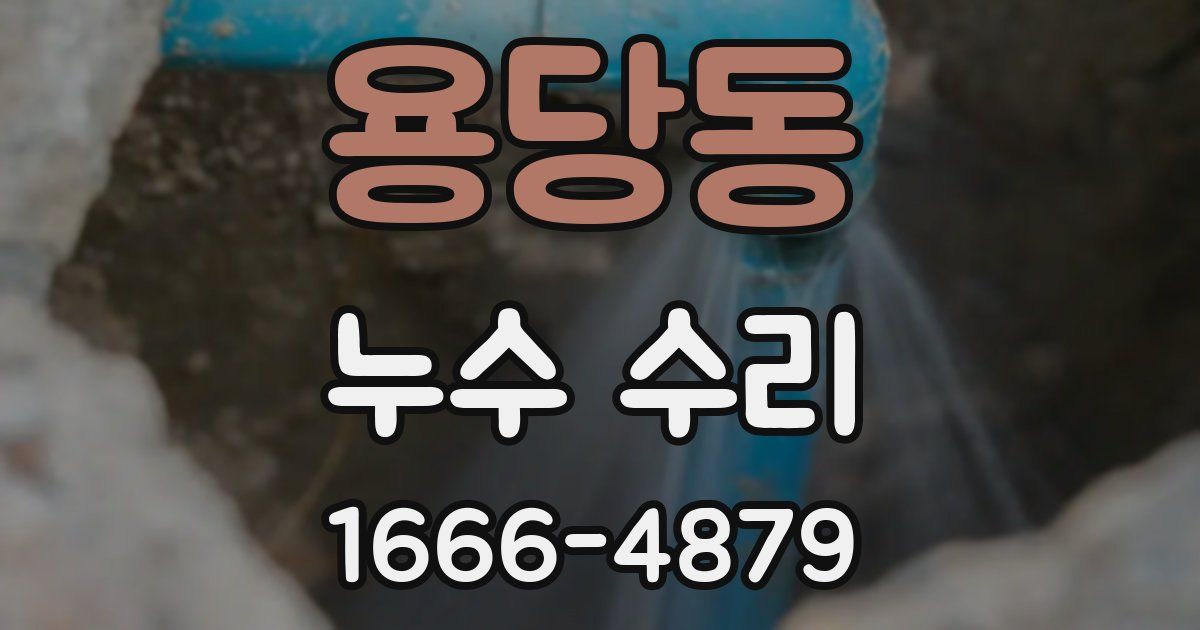 용당동 누수 수리