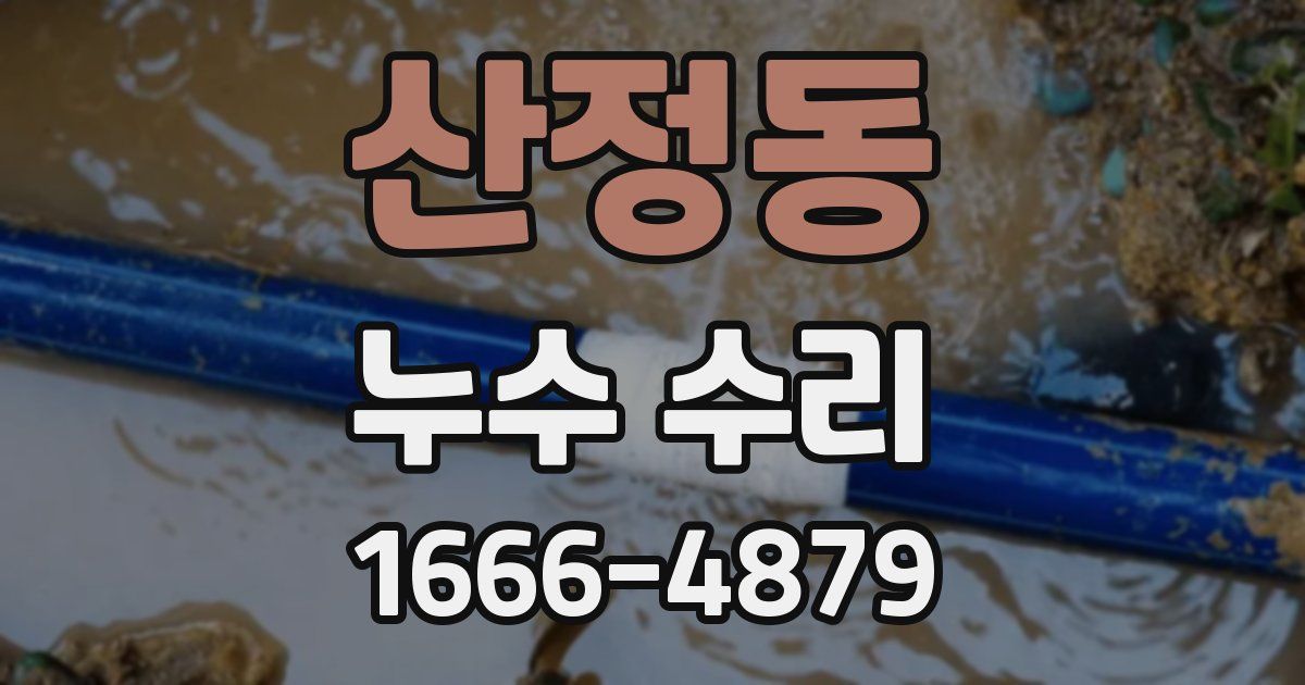 산정동 누수 수리