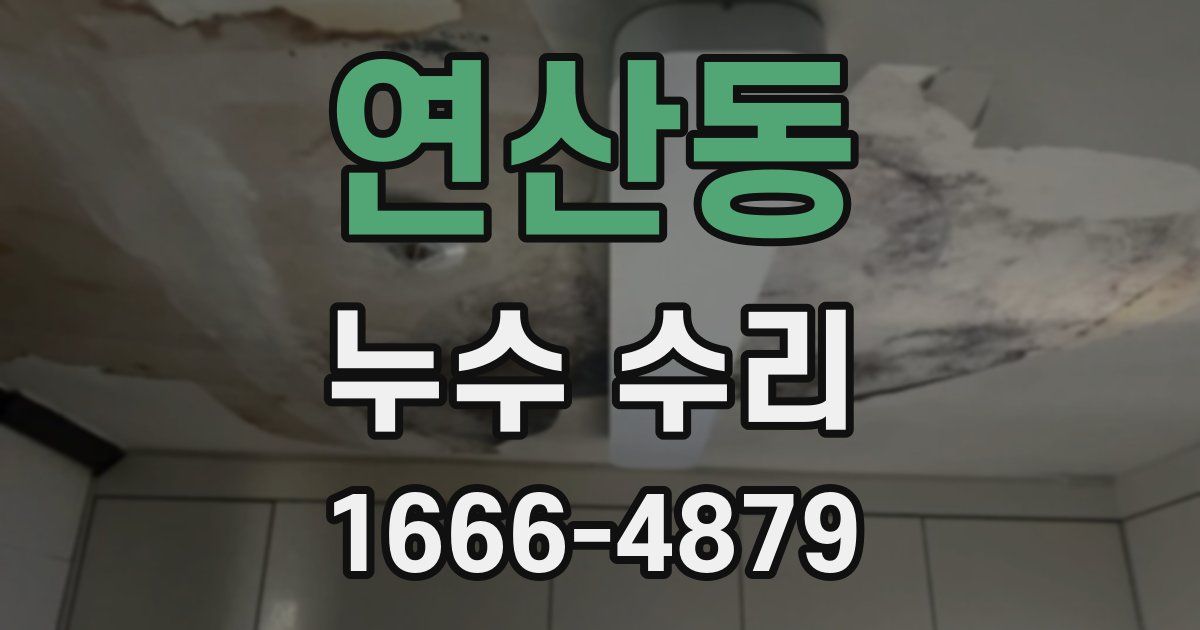 연산동 누수 수리