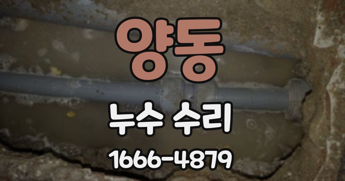양동 누수 수리