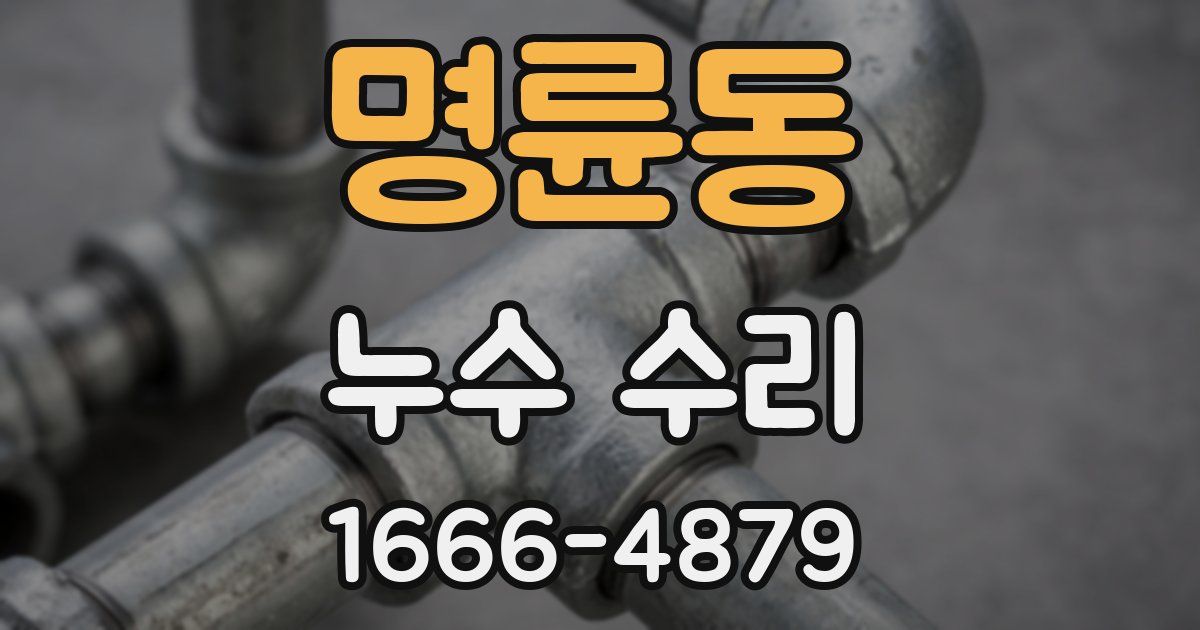 명륜동 누수 수리