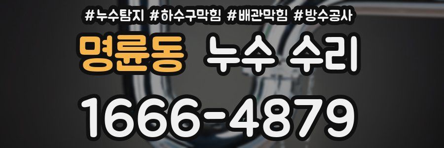명륜동 누수 수리