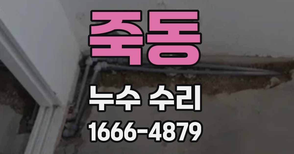 죽동 누수 수리