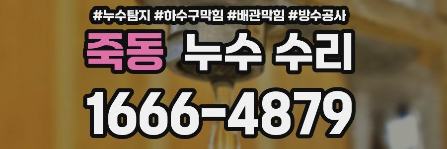 죽동 누수 수리
