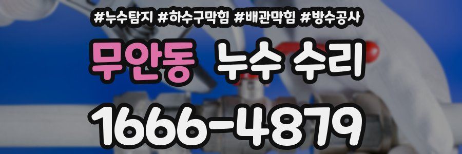 무안동 누수 수리