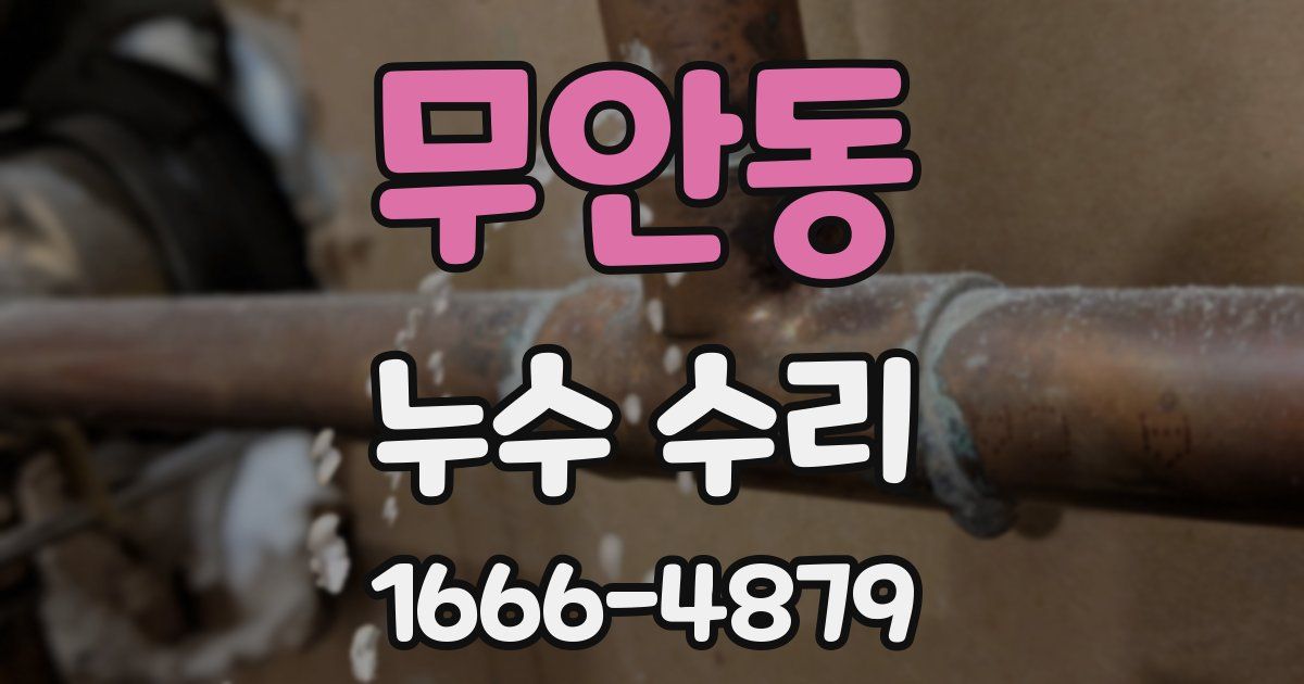 무안동 누수 수리