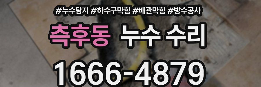 측후동 누수 수리