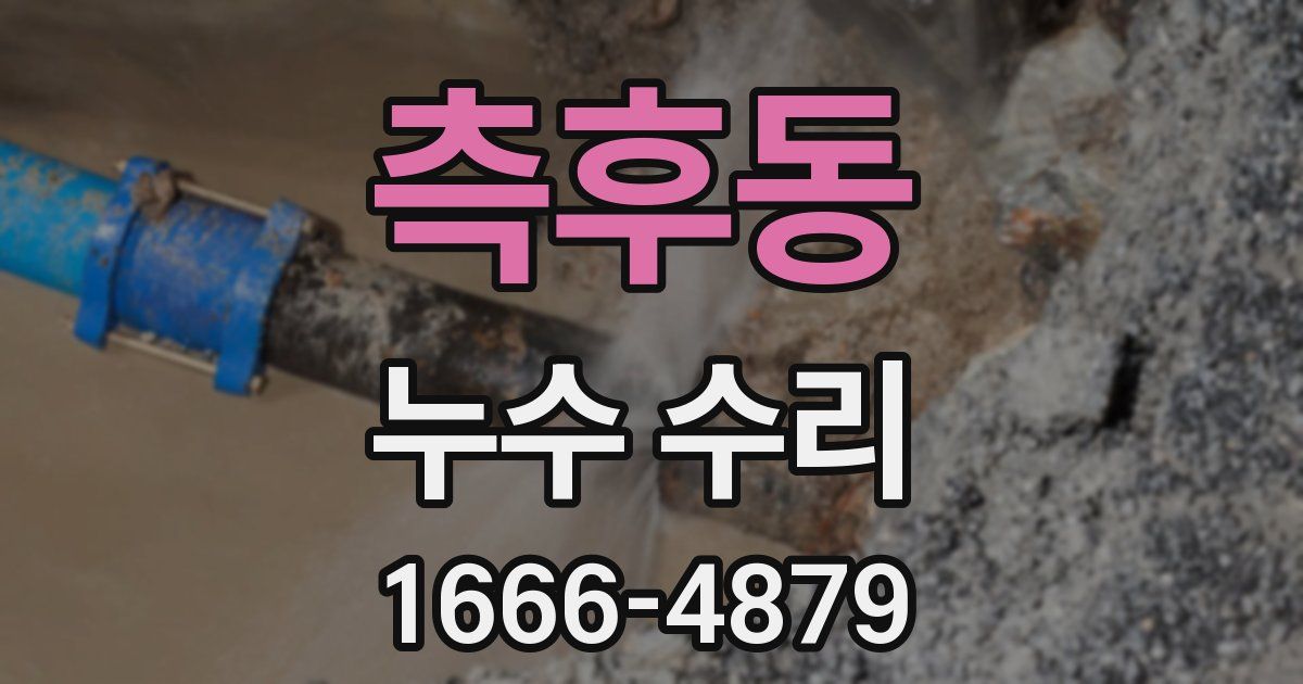 측후동 누수 수리