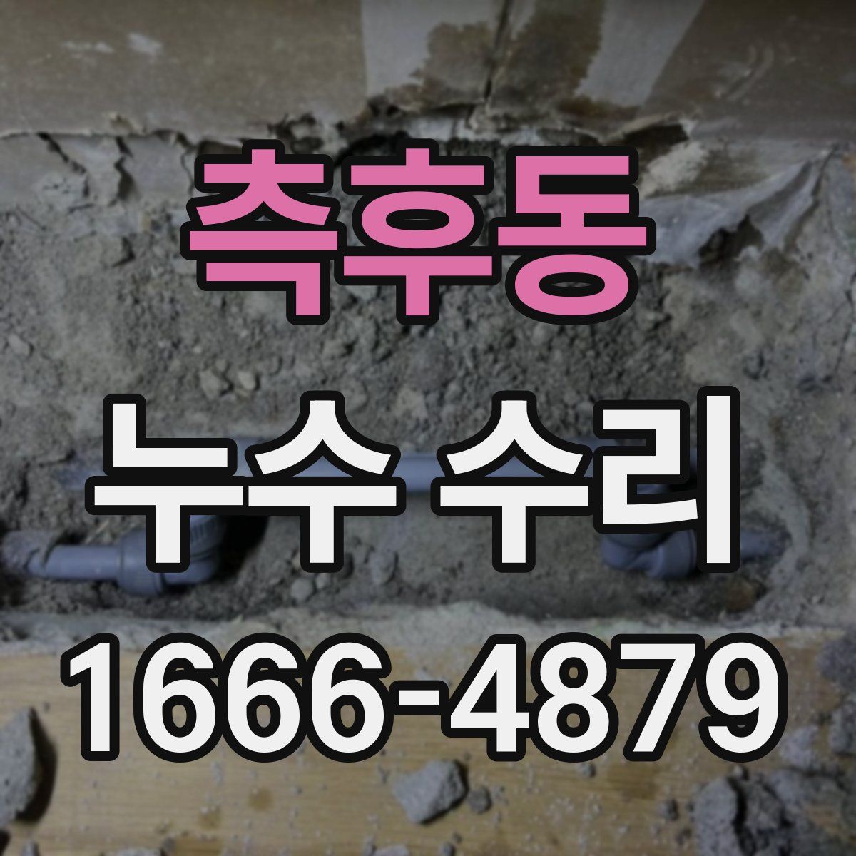 측후동 누수 수리