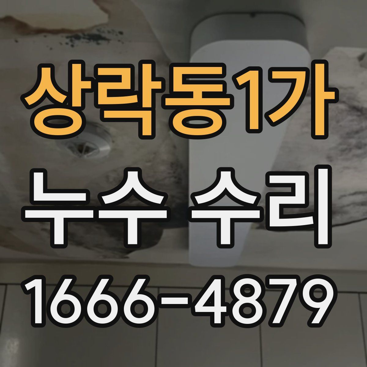 상락동1가 누수 수리