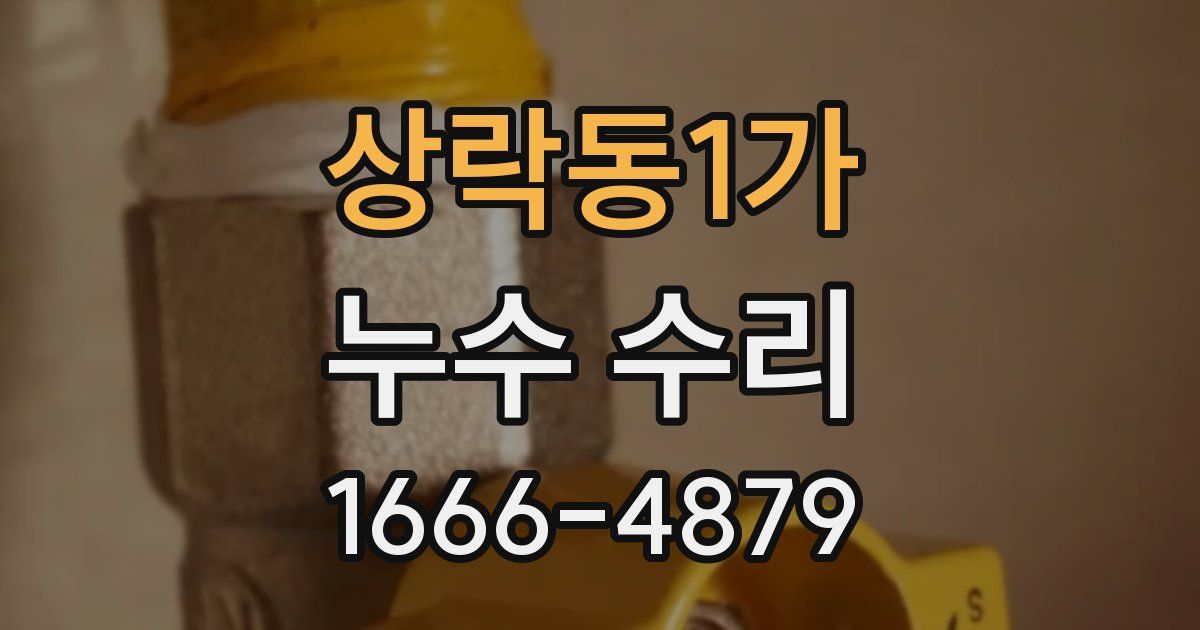 상락동1가 누수 수리