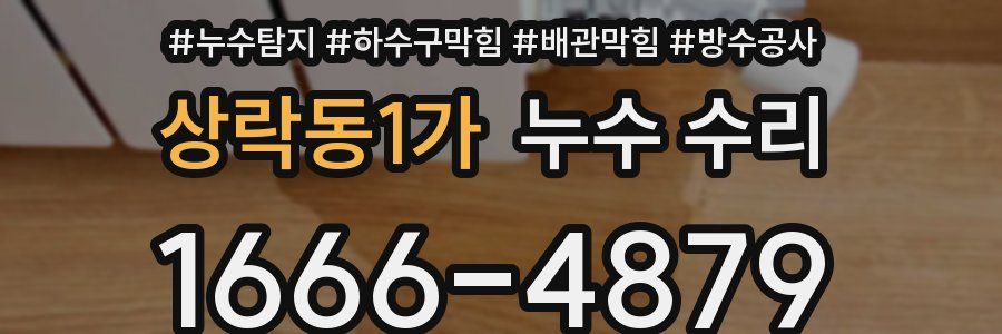 상락동1가 누수 수리