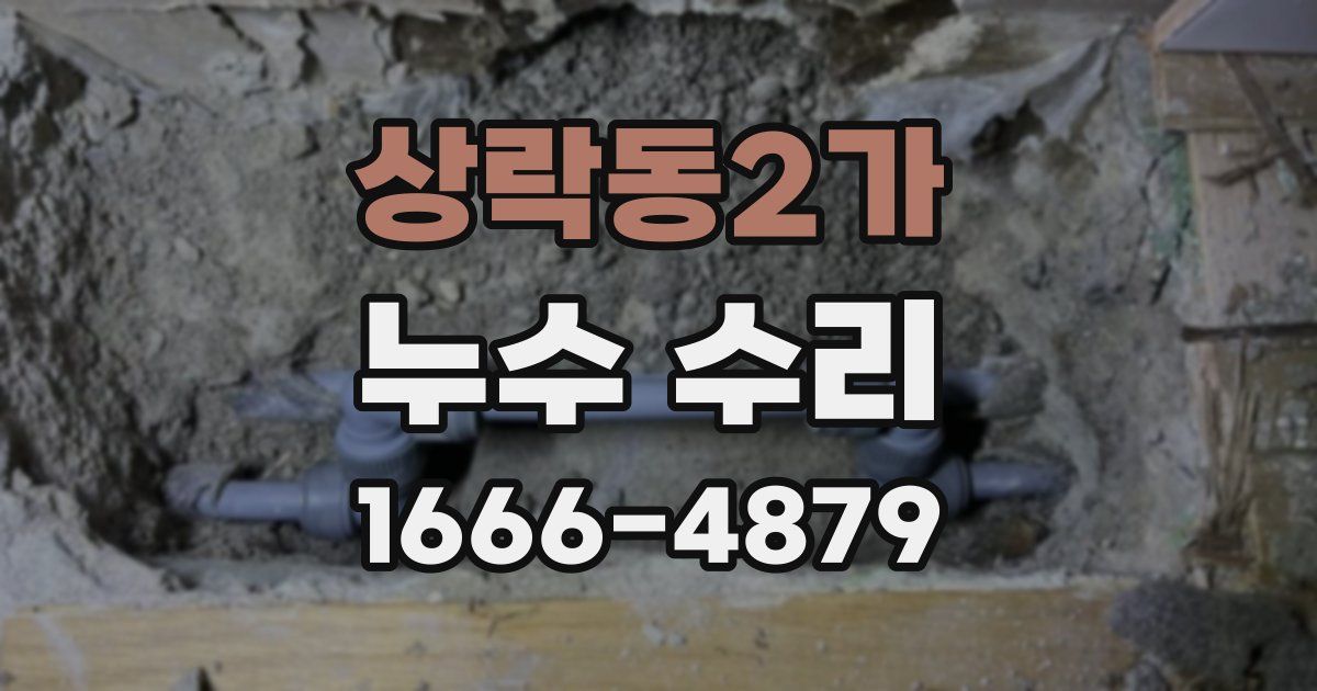 상락동2가 누수 수리
