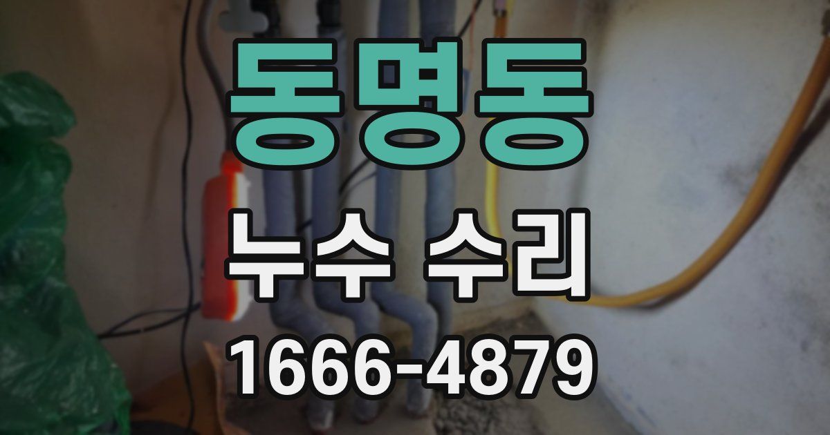 동명동 누수 수리