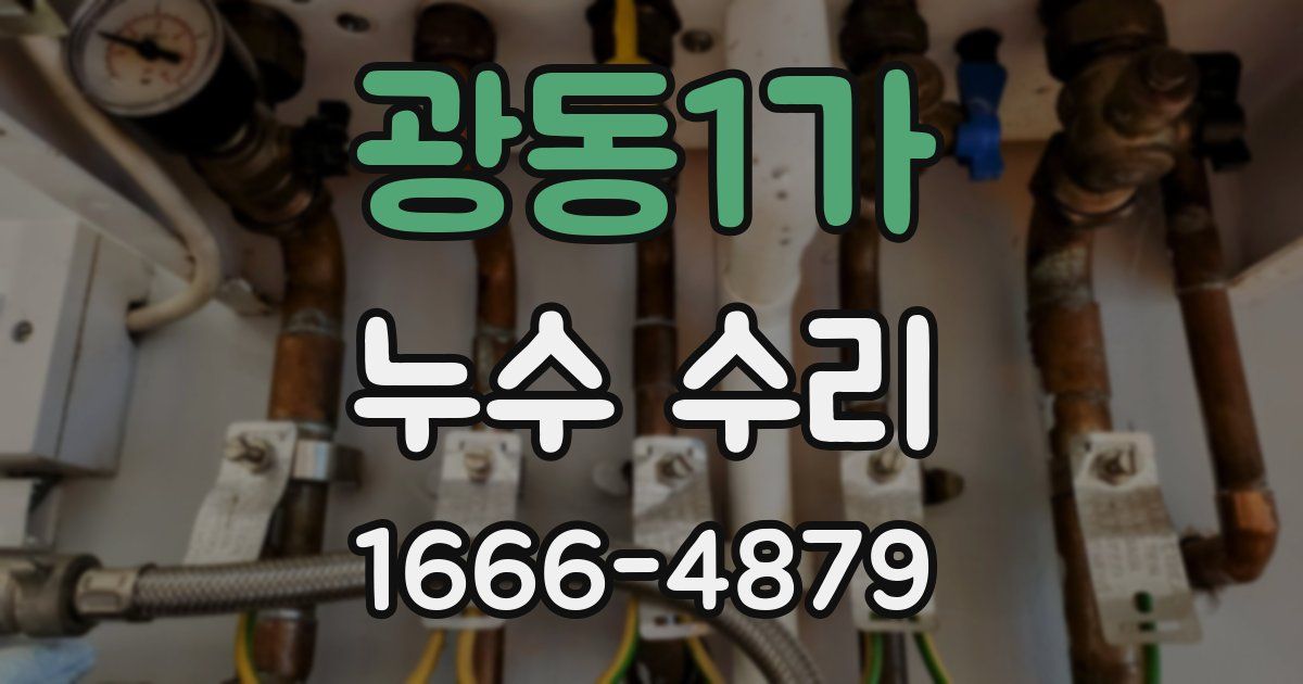 광동1가 누수 수리