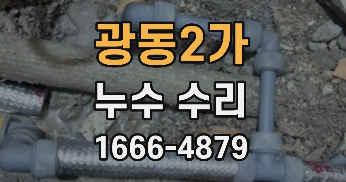 광동2가 누수 수리