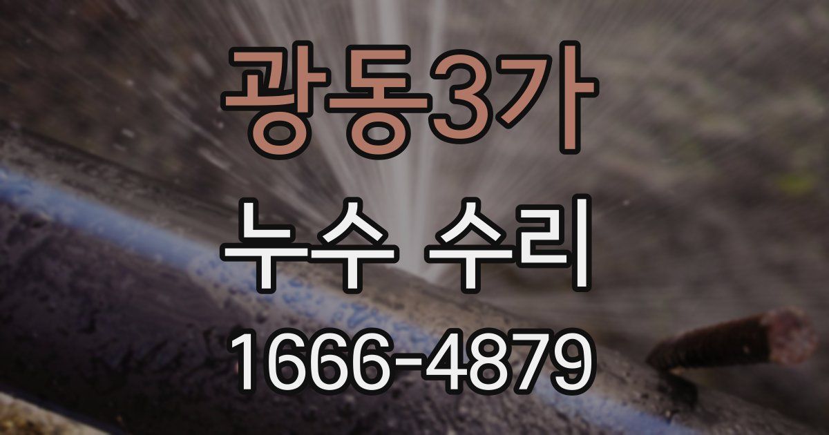 광동3가 누수 수리