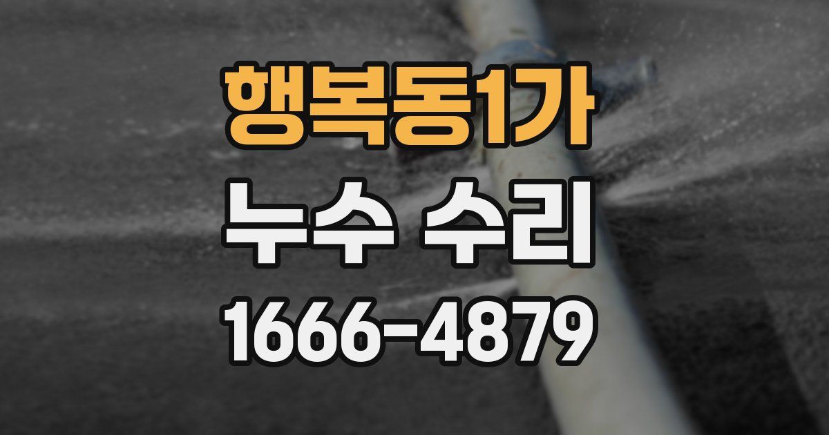행복동1가 누수 수리