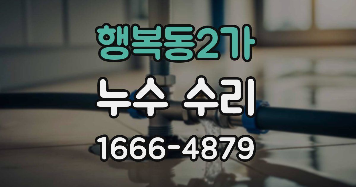 행복동2가 누수 수리