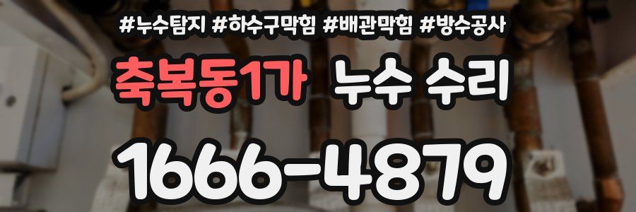 축복동1가 누수 수리