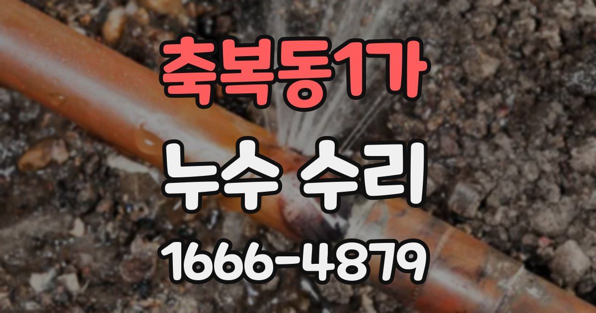 축복동1가 누수 수리