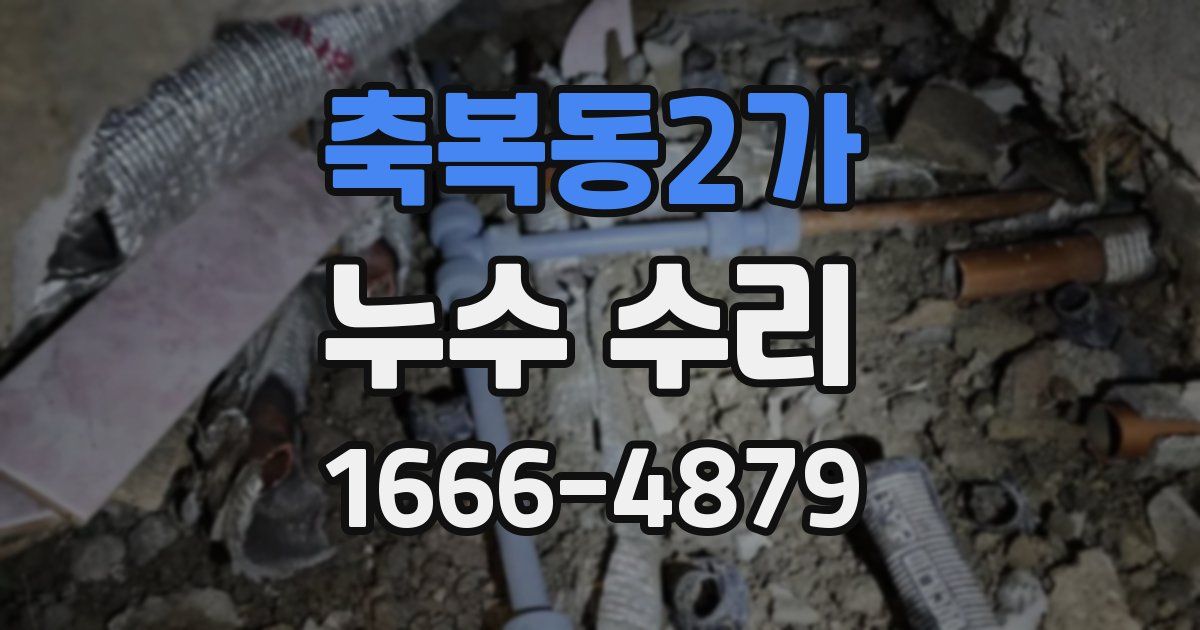 축복동2가 누수 수리