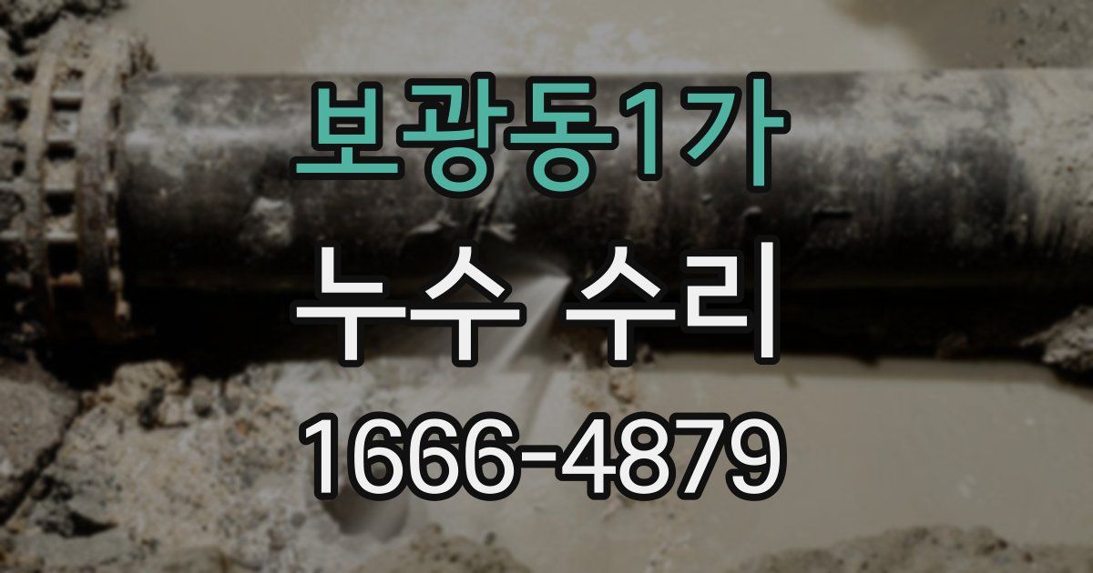 보광동1가 누수 수리