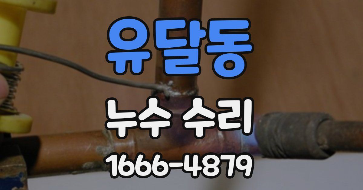 유달동 누수 수리