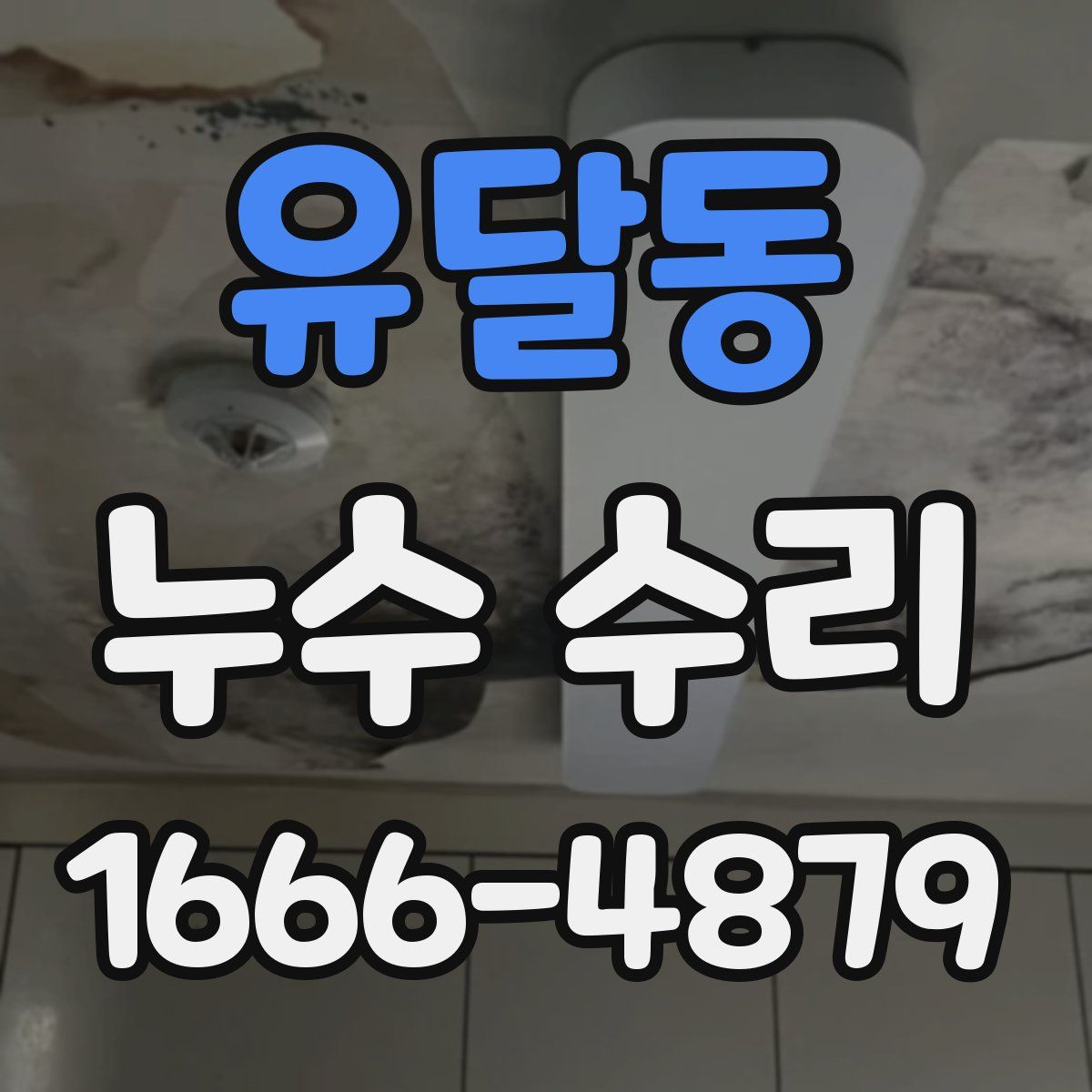 유달동 누수 수리