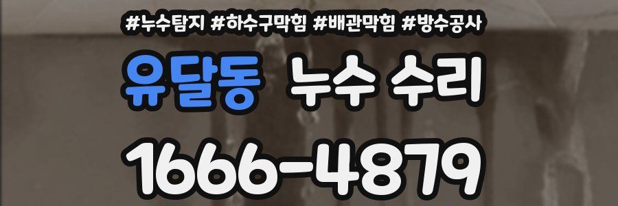유달동 누수 수리