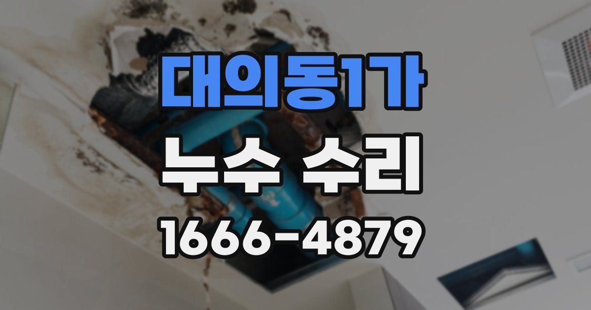 대의동1가 누수 수리
