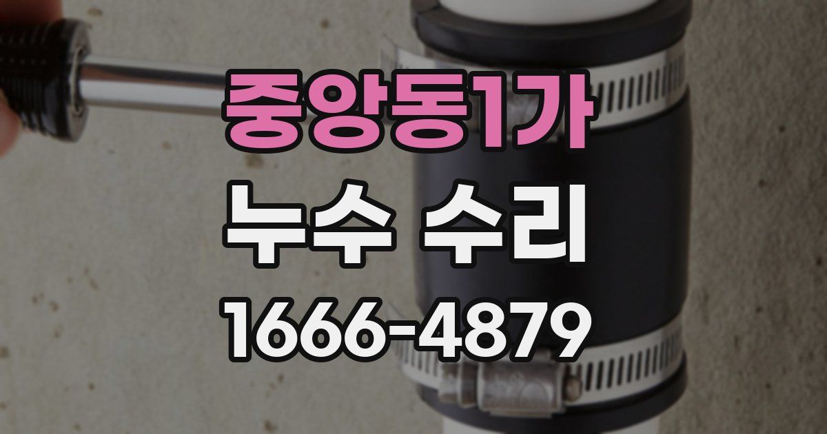 중앙동1가 누수 수리