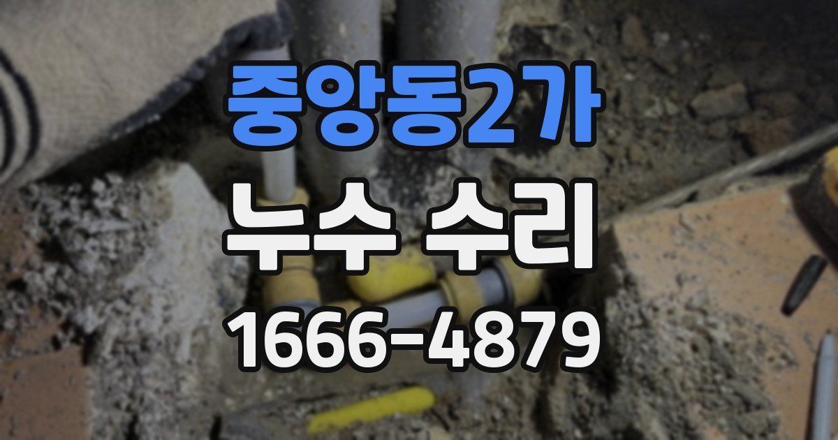 중앙동2가 누수 수리