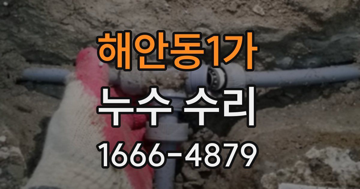 해안동1가 누수 수리