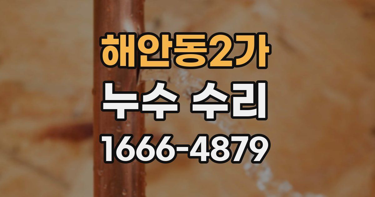 해안동2가 누수 수리