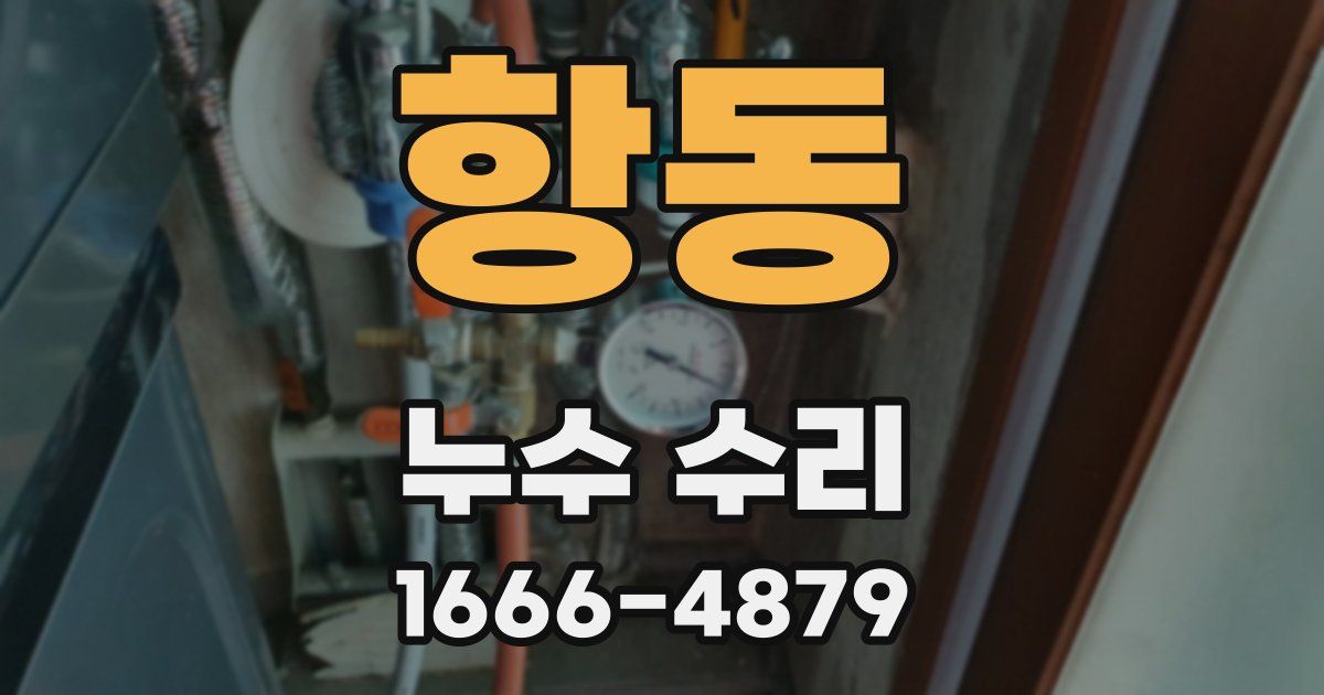 항동 누수 수리