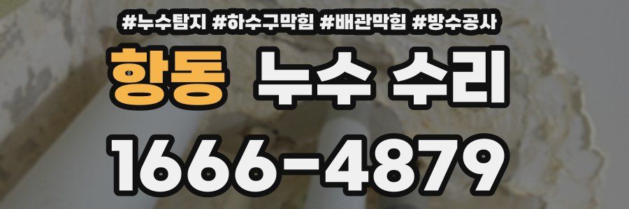 항동 누수 수리