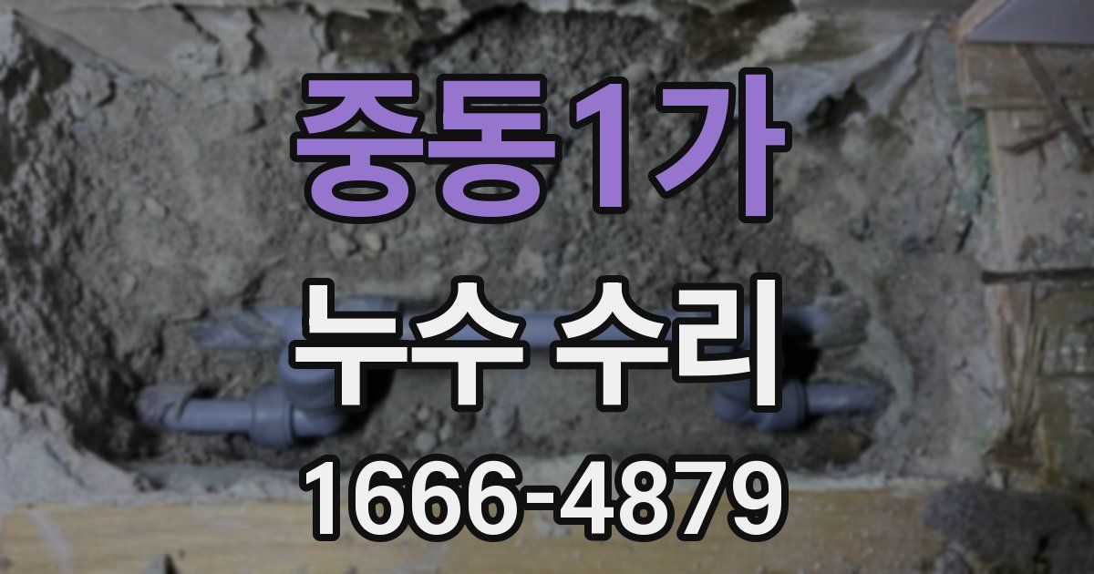 중동1가 누수 수리